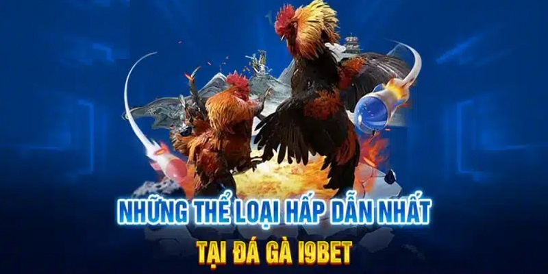 Thể loại đá gà siêu hấp dẫn nhà cái i9bet