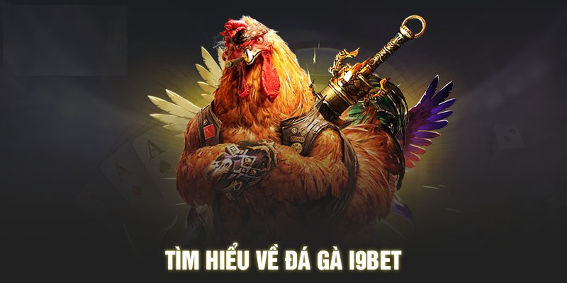 Giới thiệu về đá gà i9bet