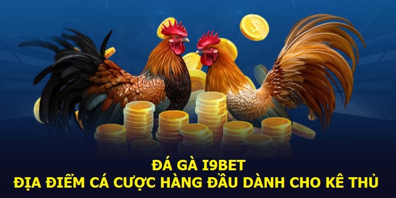 Ưu điểm của đá gà i9bet là gì?